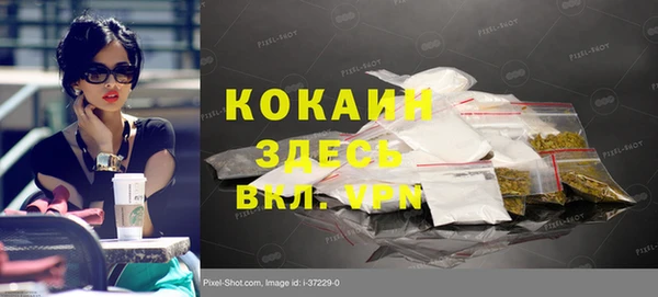 мяу мяу мука Аркадак