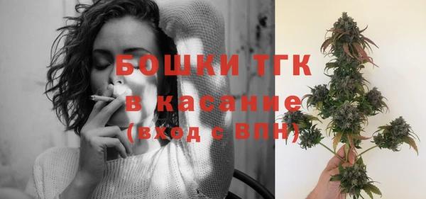 амф Арсеньев
